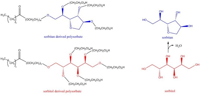 Differences between polysorbate 20 and polysorbate 80 - Guangdong